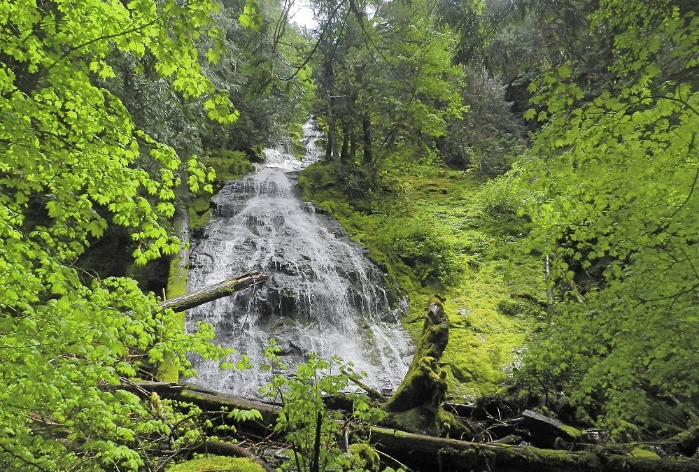 4 South Sound Waterfall Hikes for Families