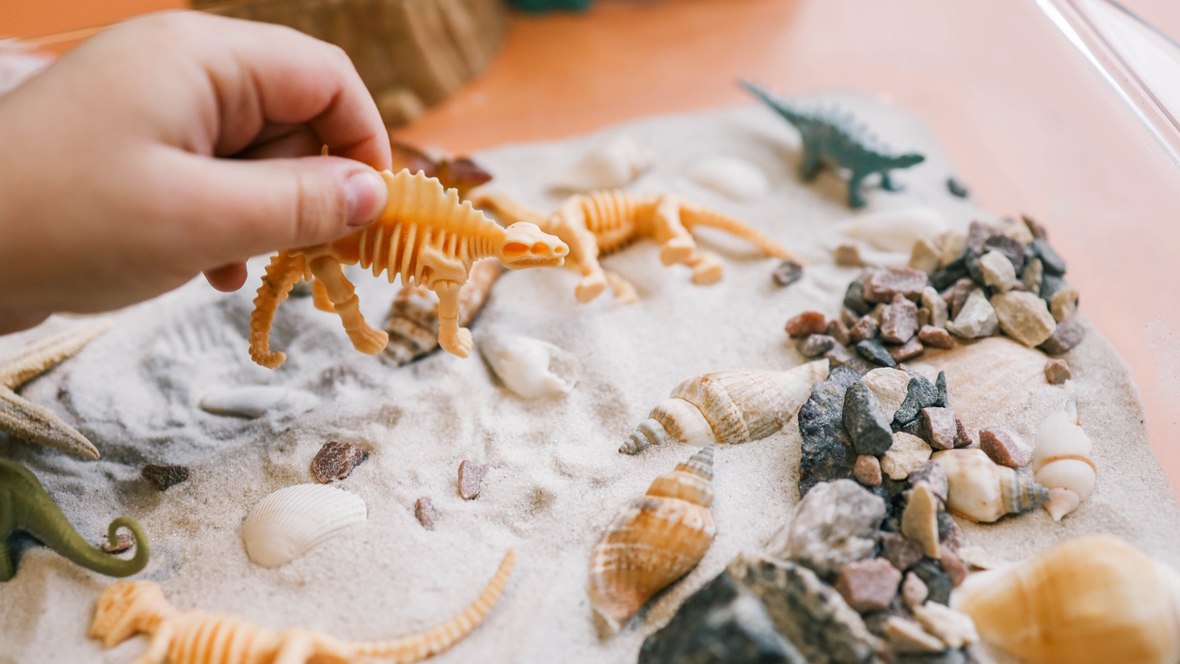 dino digging sand box