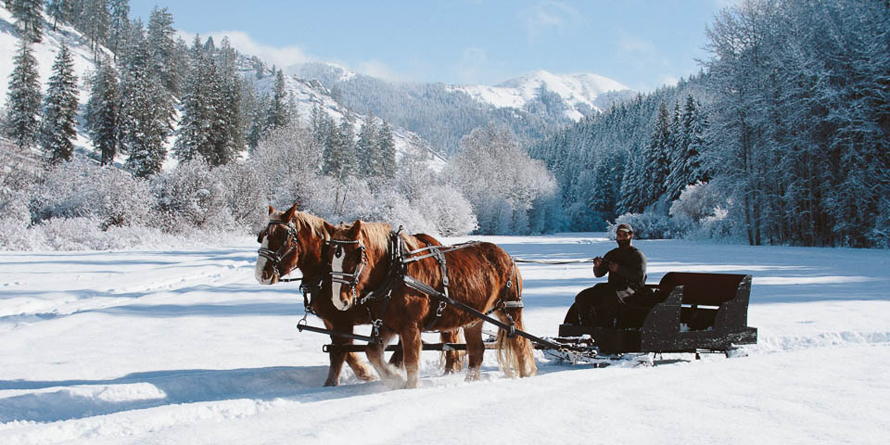 horse sleigh in the snow at eagle creek