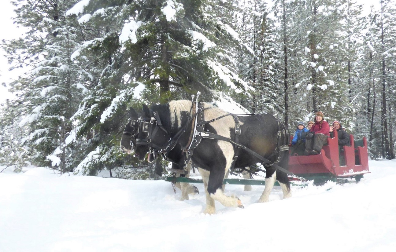 Three Peaks Outfitters horse-drawn sleigh ride Cle Elum Washington holiday outings for seattle area familes