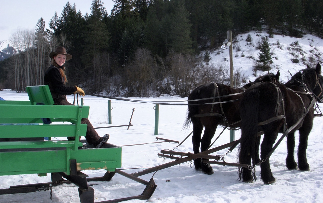 Green horse drawn sleigh ride at the ready Eagle Creek Ranch Leavenworth winter excursions for Seattle area families