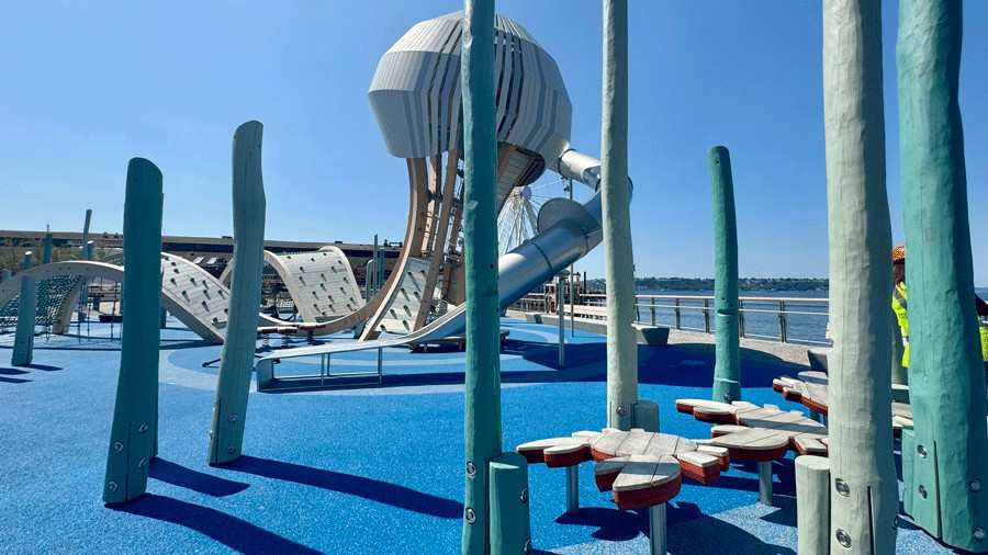 kelp forest of climbable wood poles with stable crab boards to walk across on Pier 58