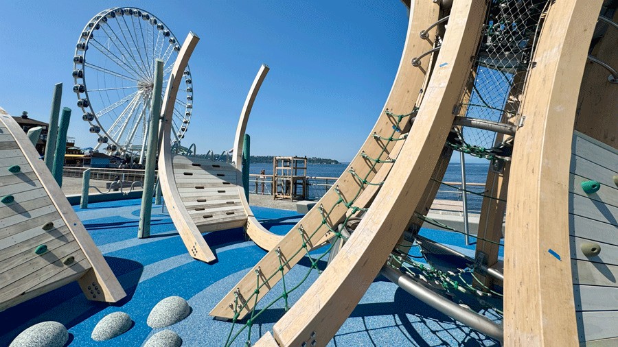 views of the great wheel and Elliott Bay, plus details of the jellyfish climber base with ropes and climbing rocks