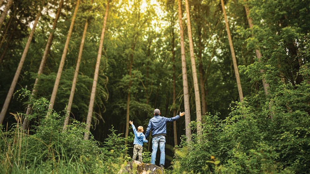 Fun on the Horizon: Why You Should Try New Things as a Family