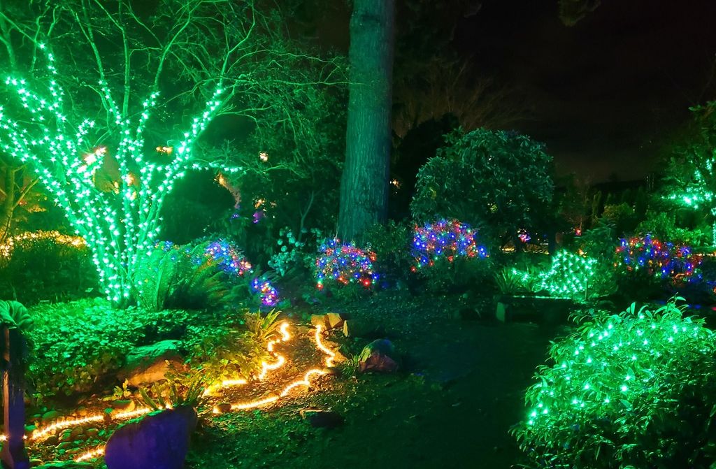 Free Seattle-Area Holiday Light Shows to Brighten Your Winter