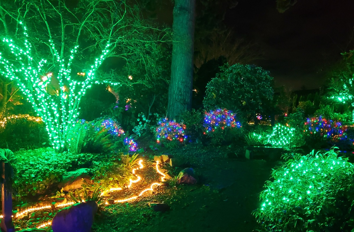 Wintertide holiday light show at Everett;s Evergreen Arboretum among free light shows families can see near Seattle