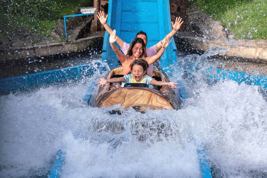 Family on a log ride at an amusement park