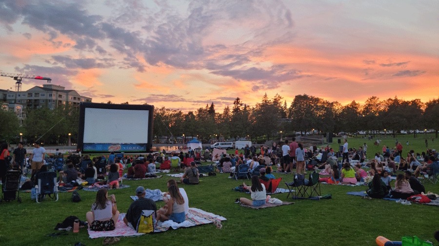Outdoor movie in the summer time