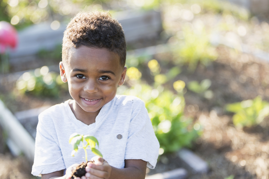 Young boy smiling and holding a young plant