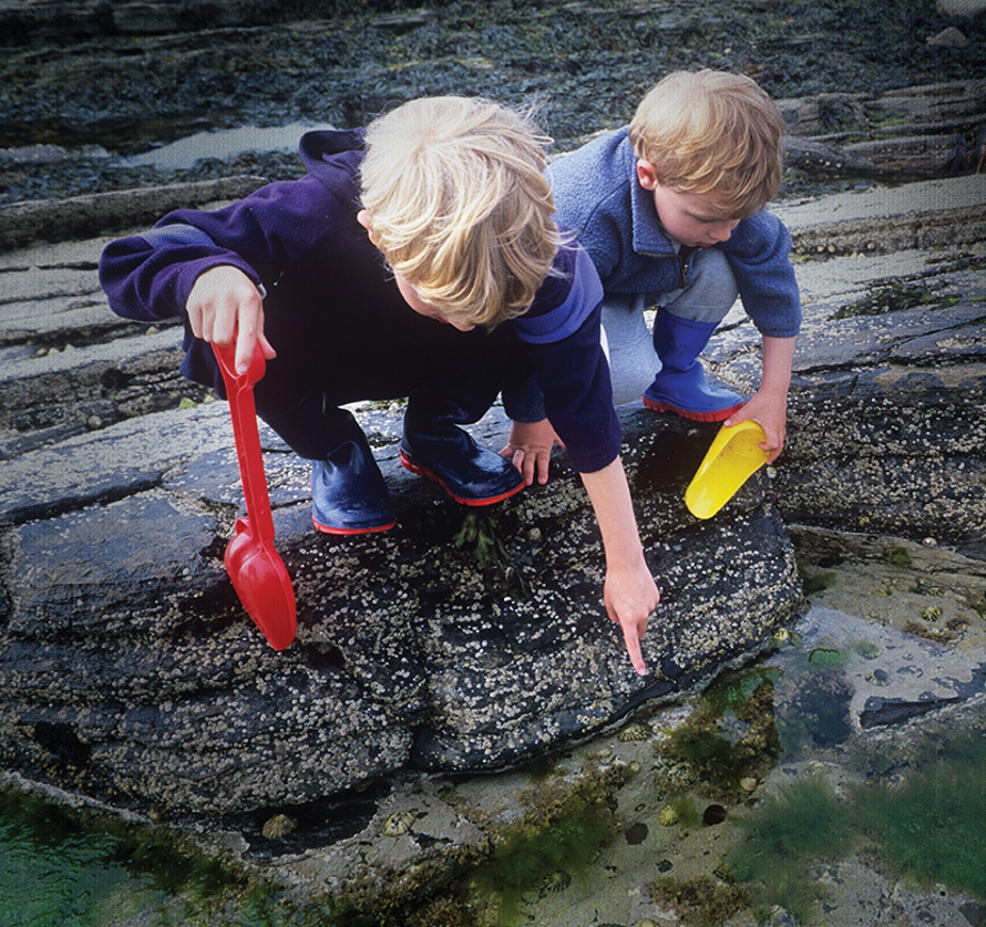 Two young children holding shovels looking into a tide pool at the beach