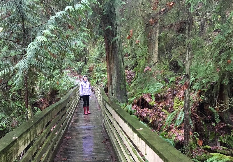 lakeridge park seattle deadhorse canyon seattle urban hikes little legs