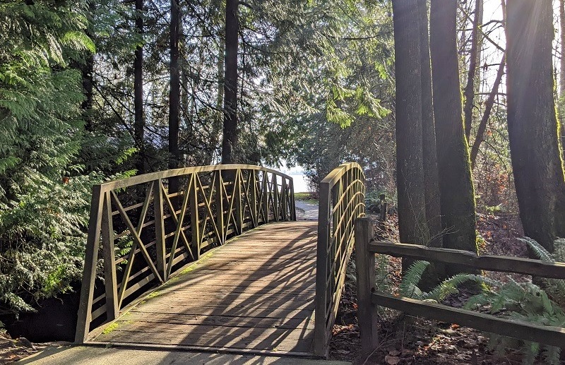 Footbridge at O.O. Denny Park among great secret urban hikes for littlest hikers near Seattle