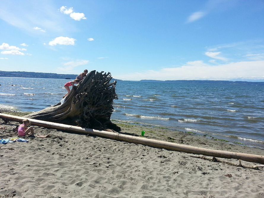 Jetty Island Photo credit: Elisa Murray