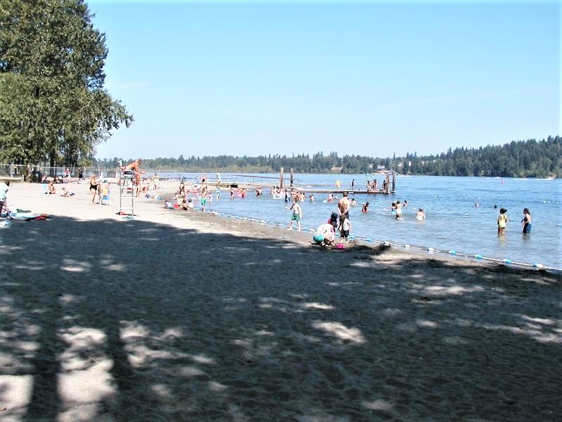 Idylwood Beach Park best beaches for Seattle area families