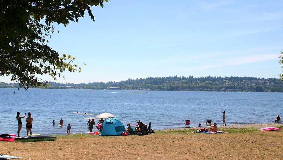 O.O. Denny Park best swimming beaches Eastside and Seattle 