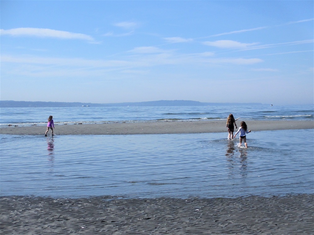 Carkeek Park beach best beaches for families and kids around Seattle