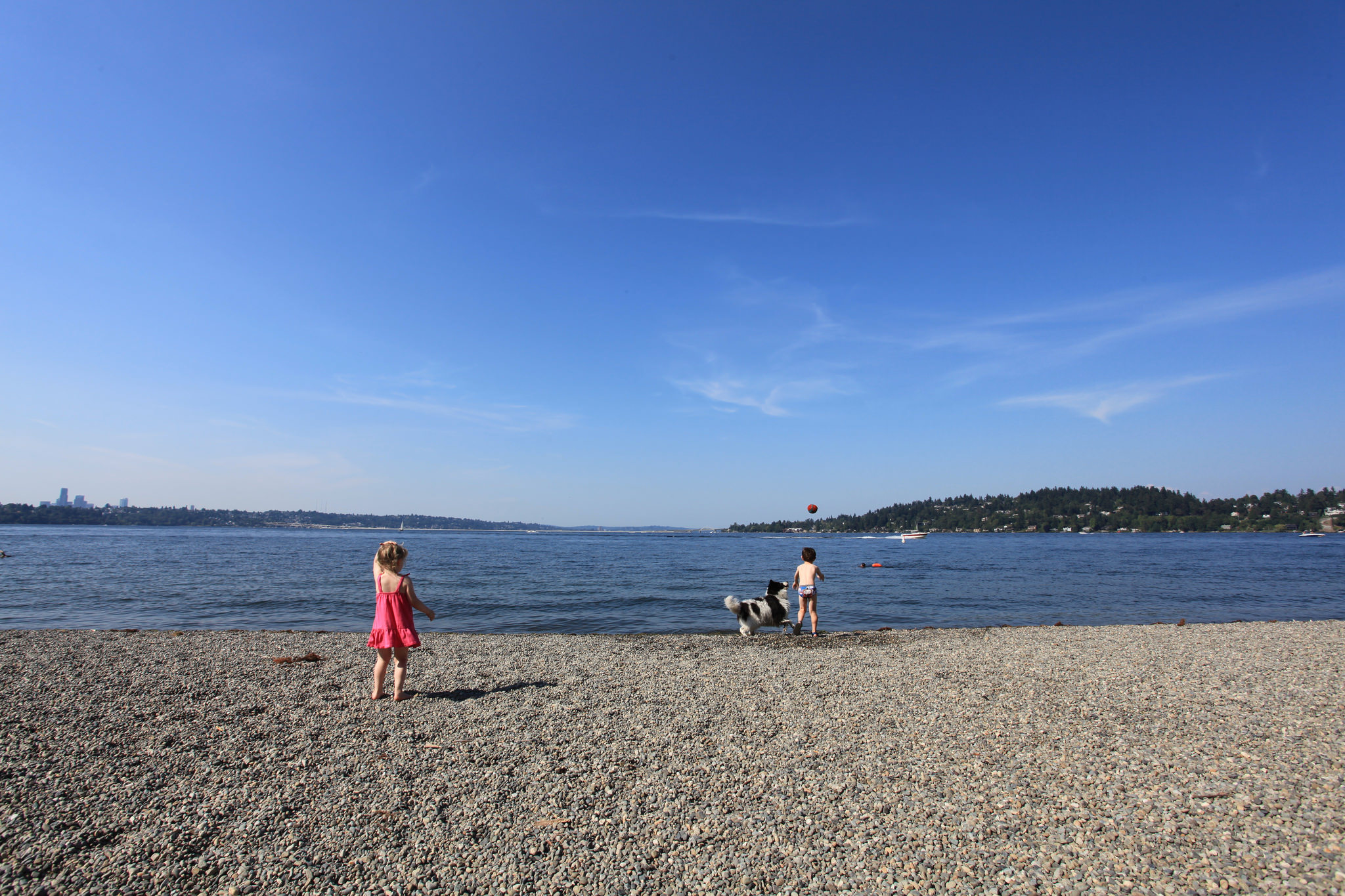 Seward Park beach best beaches for Seattle area kids and families