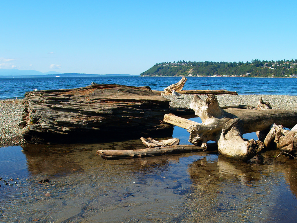 Seahurst Park in Burien one of Seattle-area's best beaches for kids and families