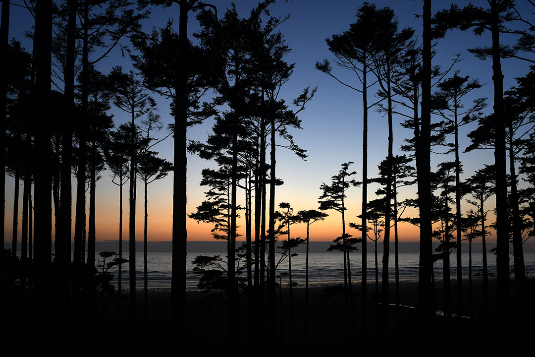 A beautiful sunset seen from Seabrook, looking out over the Pacific Ocean