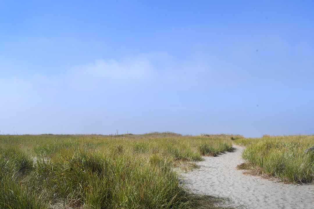 Seabrook path to the beach, under blue skies