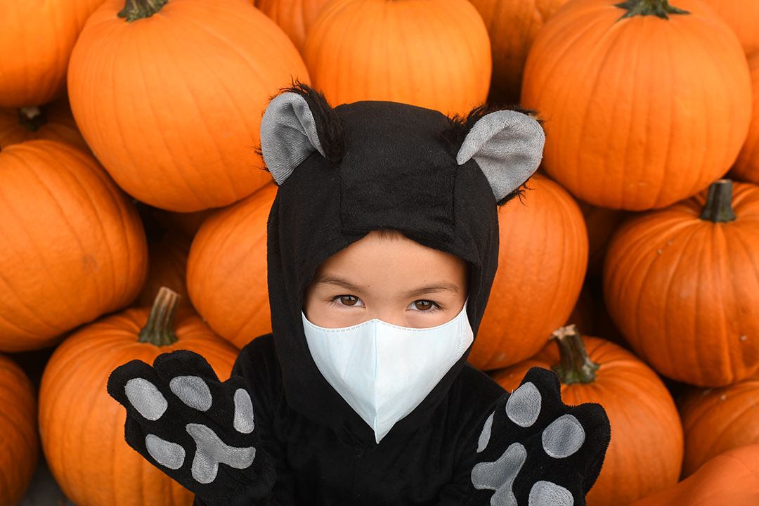 boy in a cat costume in front of pumpkins