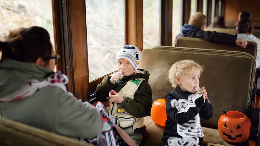 Halloween and Pumpkin Train Rides for a Festive Seattle Fall