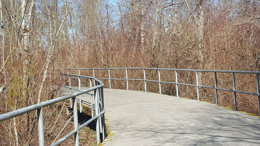 Soos Creek Trail
