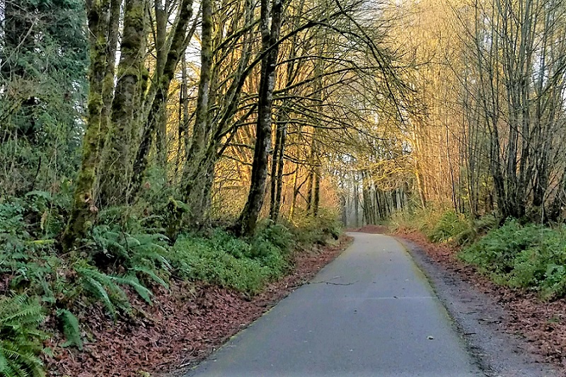 Chehalis Western Trail