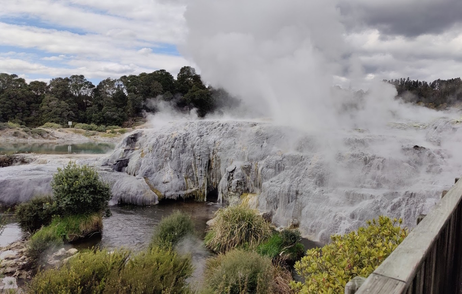 Geyser erupting in New Zealand