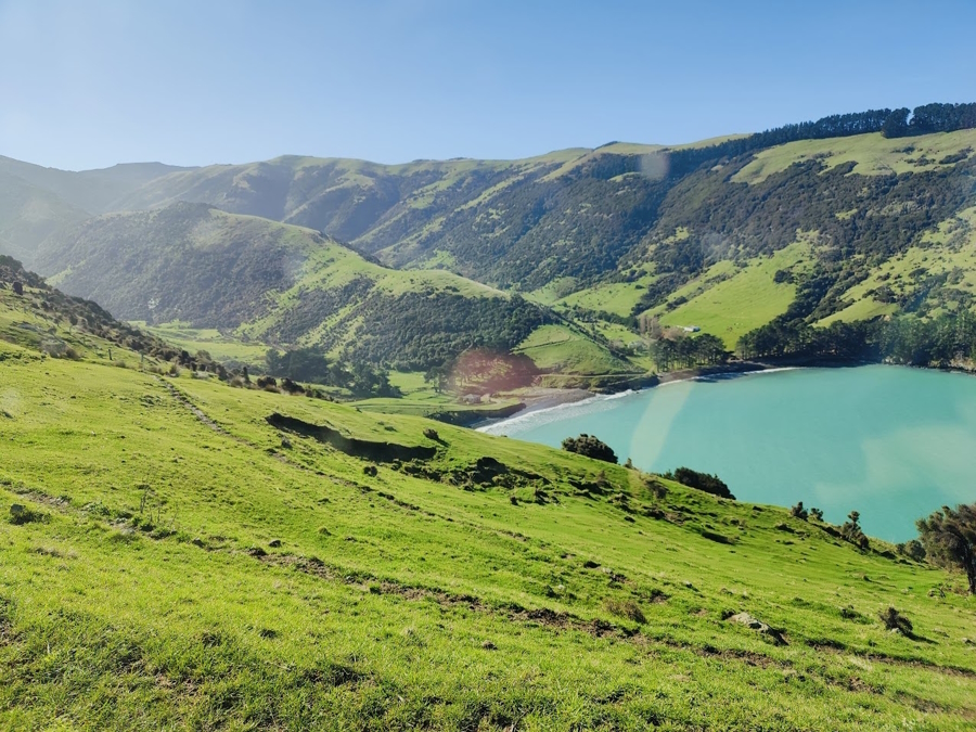 Pohatu Farm in New Zealand