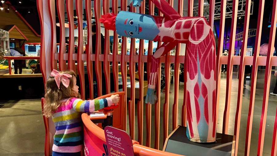 Inflatable tube person powered by movement in the new Brainy Bodies exhibit at PacSci
