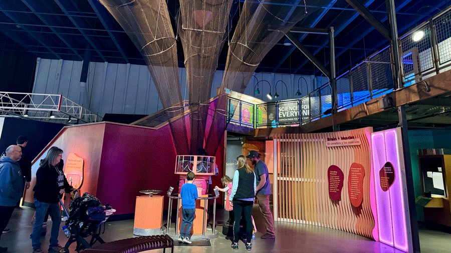 families experiment at the ball launch station, part of PacSci's new Brainy Bodies exhibit in Seattle
