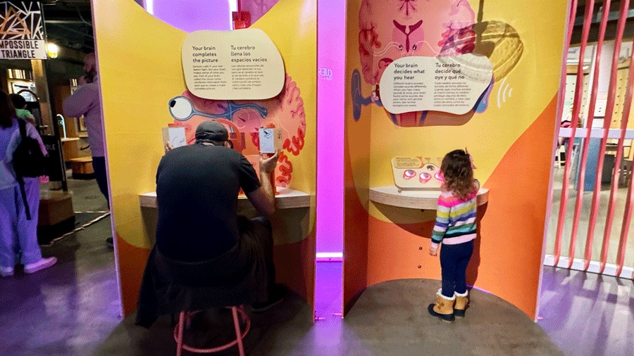 families test out the sound and sight stations at Brainy Bodies a new exhibit at Pacific ScienceCenter