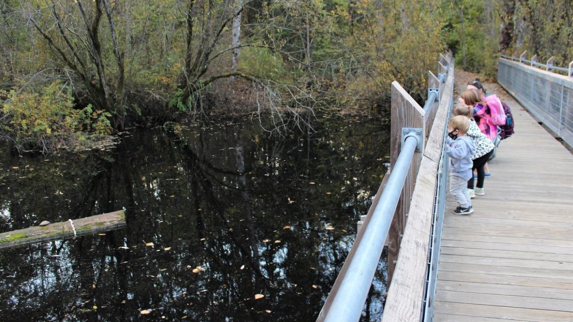 kids spotting a turtle on a nature walk at Tacoma Nature Center fall 2020 private family experience