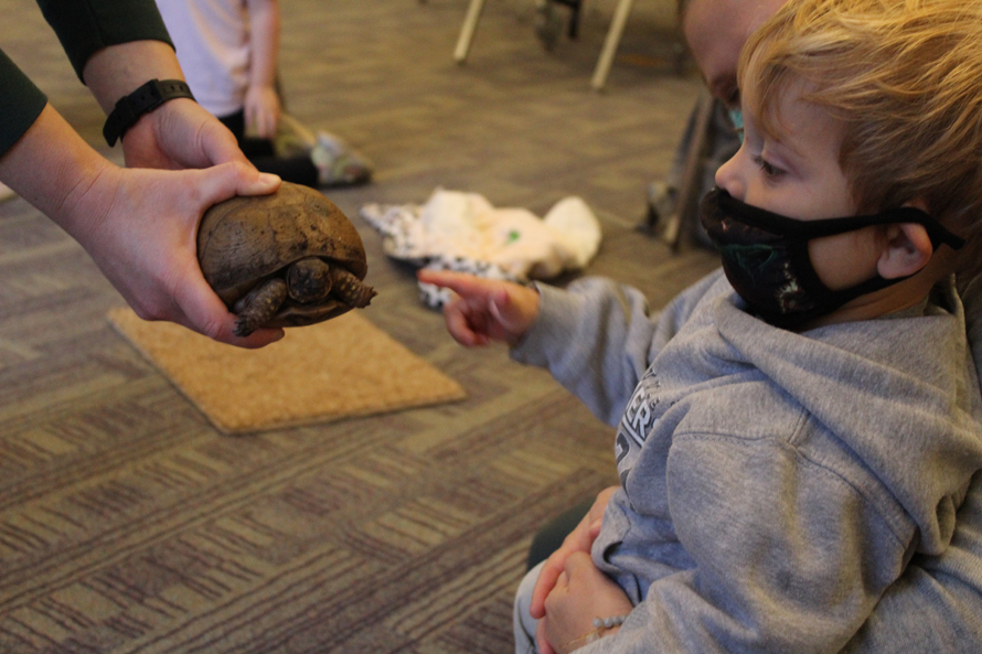 little boy wearing a mask reaching out to touch a little