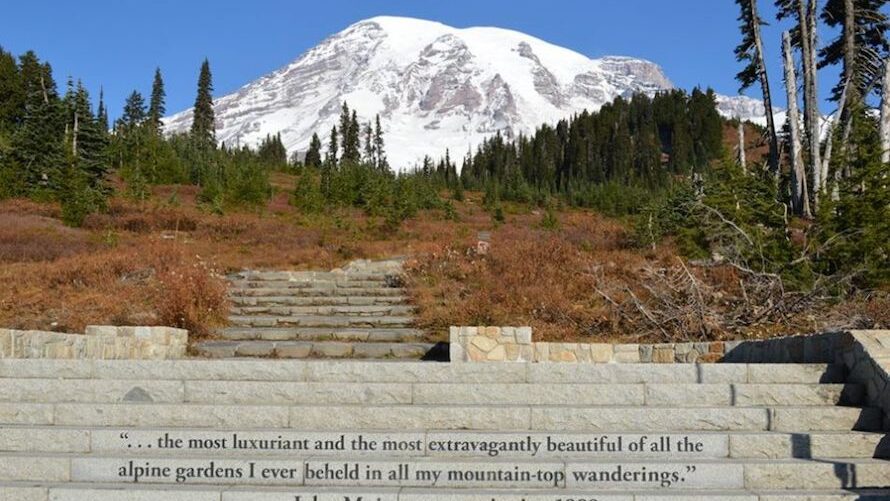 Nisqually Vista Trail 