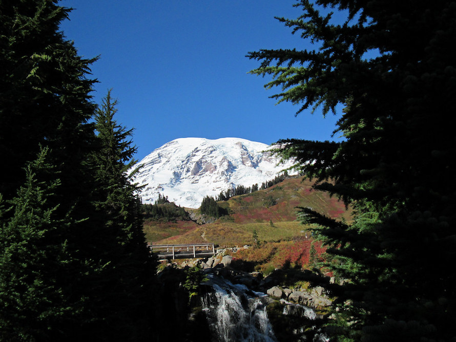 Skyline Trail to Myrtle Falls