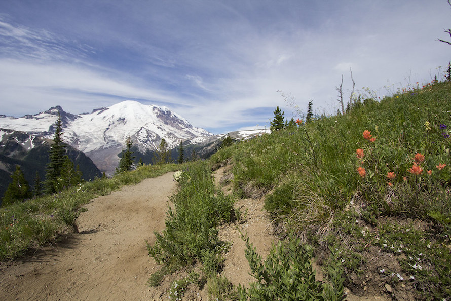 Silver Forest Trail