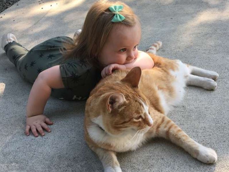 Child with the barnyard cat at Farrel-McWhirter Farm Park