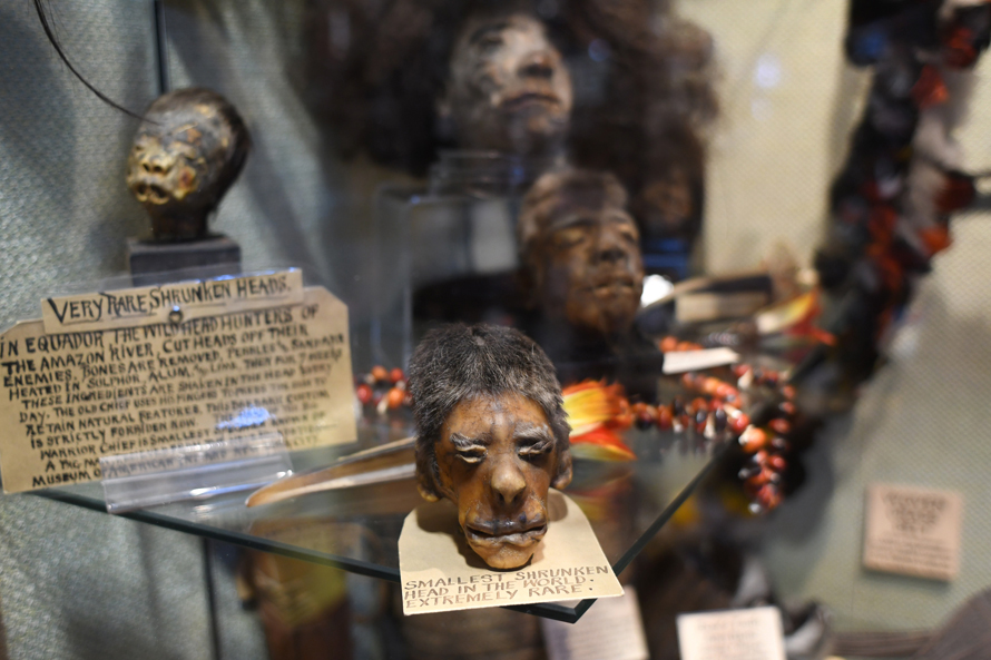 Ye Olde Curiosity Shop shrunken head display is a favorite when visiting the seattel waterfront
