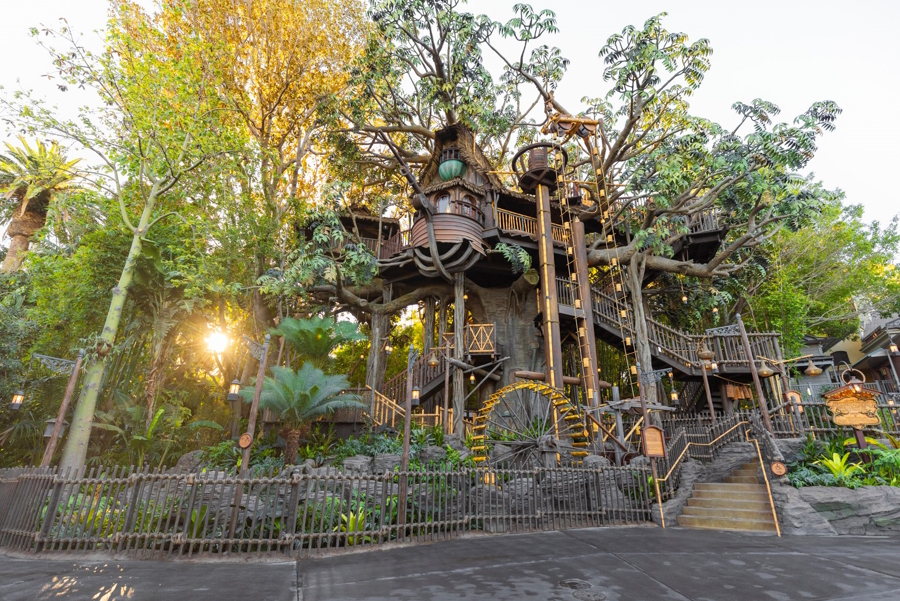 Adventureland Treehouse at Disneyland