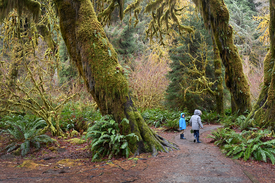 Olympic National Park: A Seattle Family’s Off-Season Getaway
