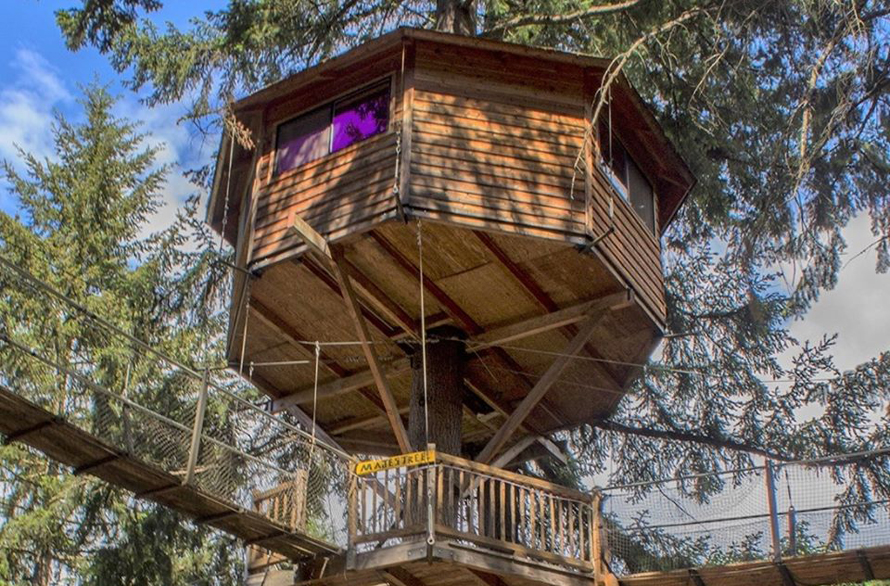 Out'n'About Treehouse Treesort, Cave Junction OR