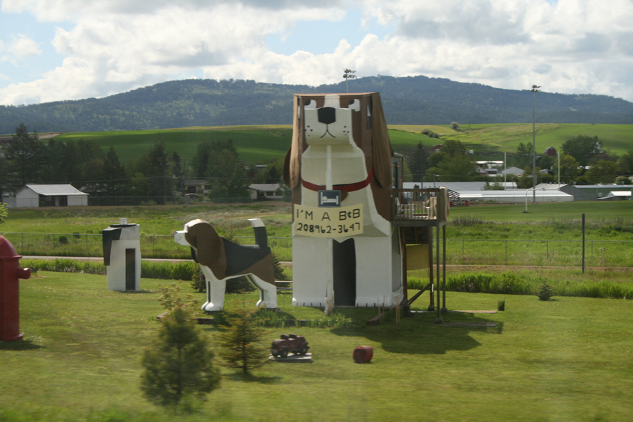 Dog Bark Park Inn
