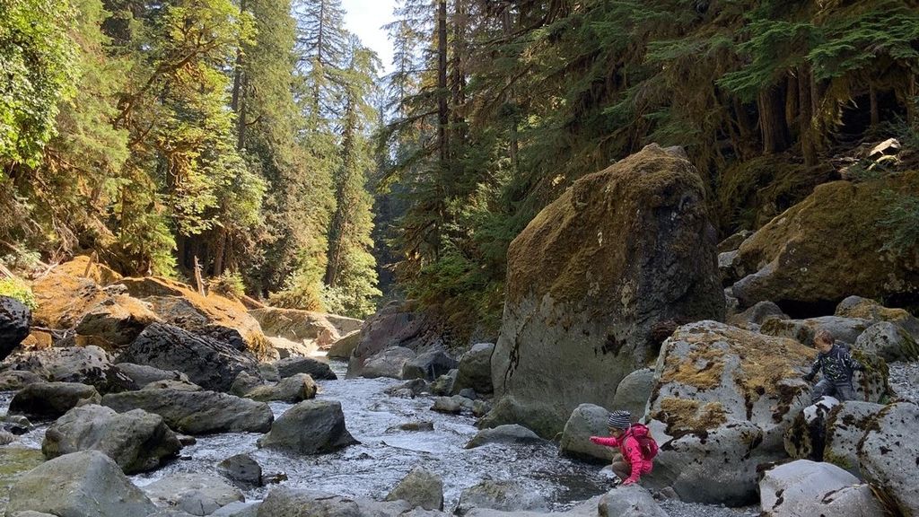 6 Kid-Friendly Hikes on the Olympic Peninsula