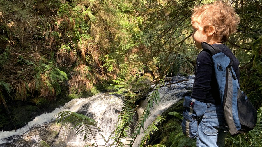 young child hiking Ludlow Falls on the Olympic Peninsula, admiring the water