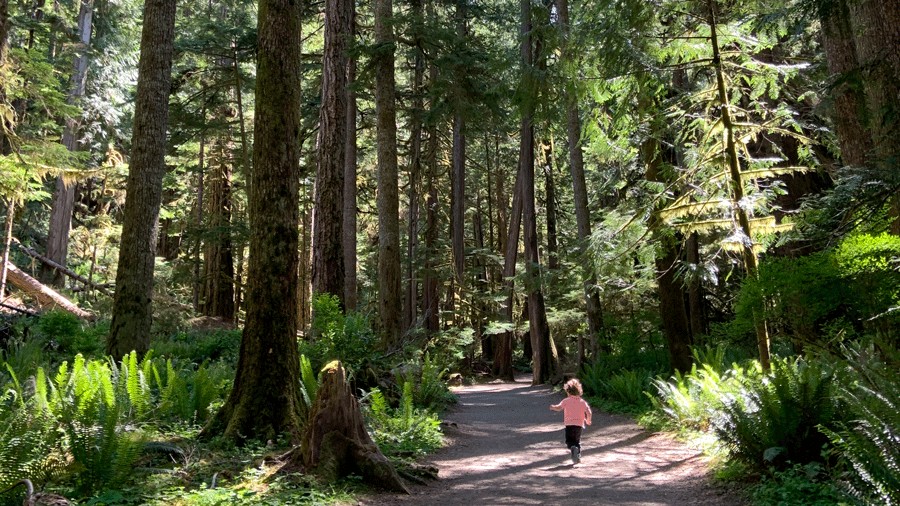 young child walking the trail on a hike at Marymere Falls on the Olympic Peninsula