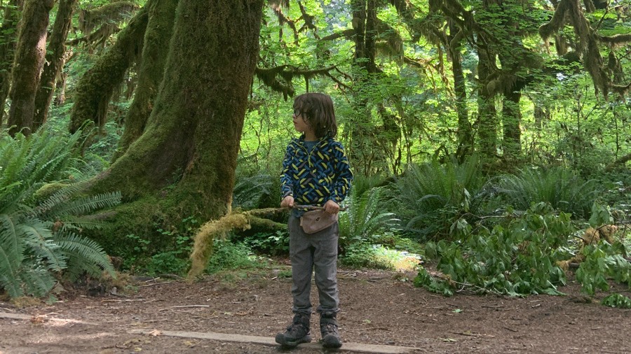 Kid standing on the trail in the Hoh Rain Forest on the Olympic Peninsula