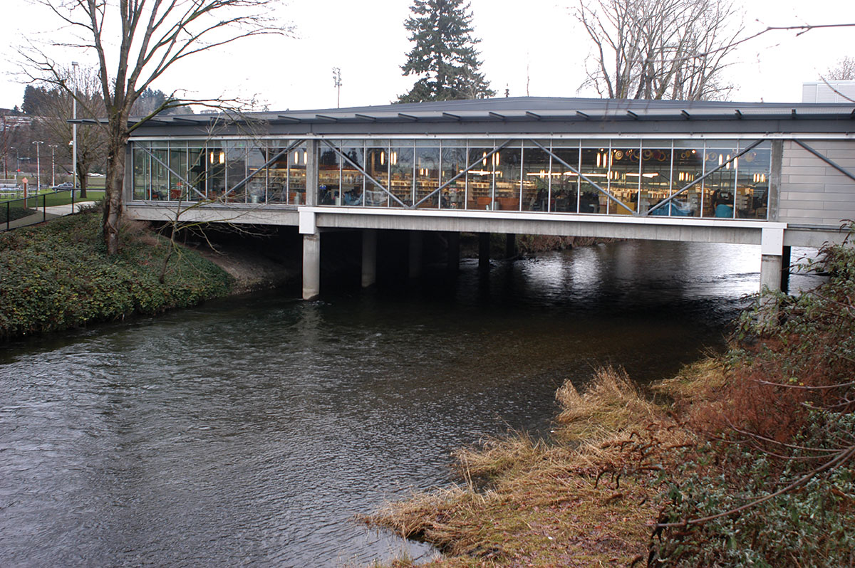 The Cedar River runs under the Renton Library, among destination libraries for families.