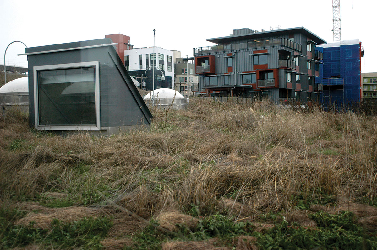 Seattle Public Library's Ballard Branch is a destination library for Seattle-area families